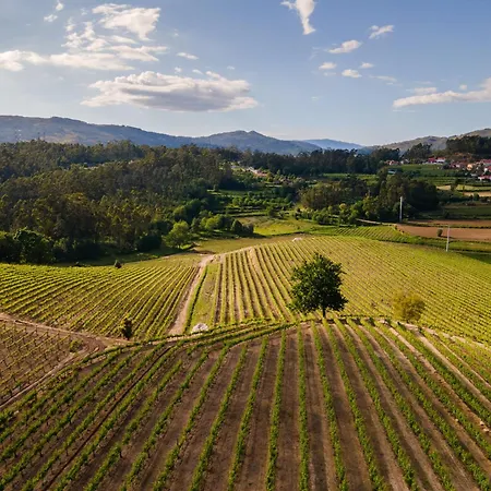 מלון Gale Collection פונטה דה לימה