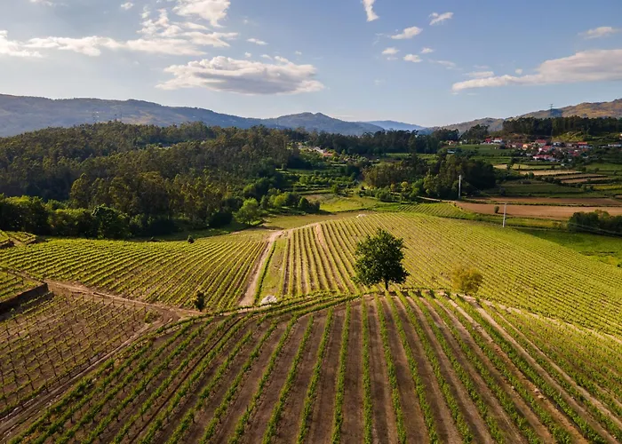 Hotel Gale Collection Ponte de Lima